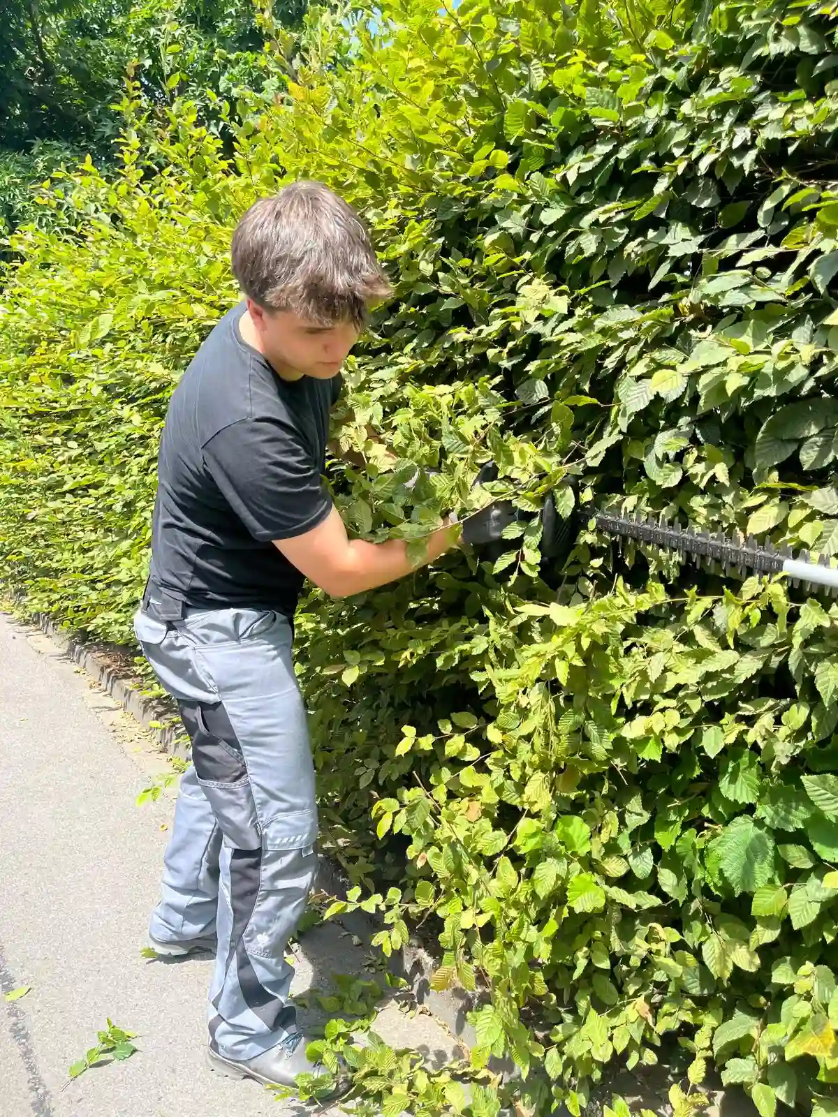 Garten- und Hausmeisterservice Joel Dehmelt Team bei der Arbeit